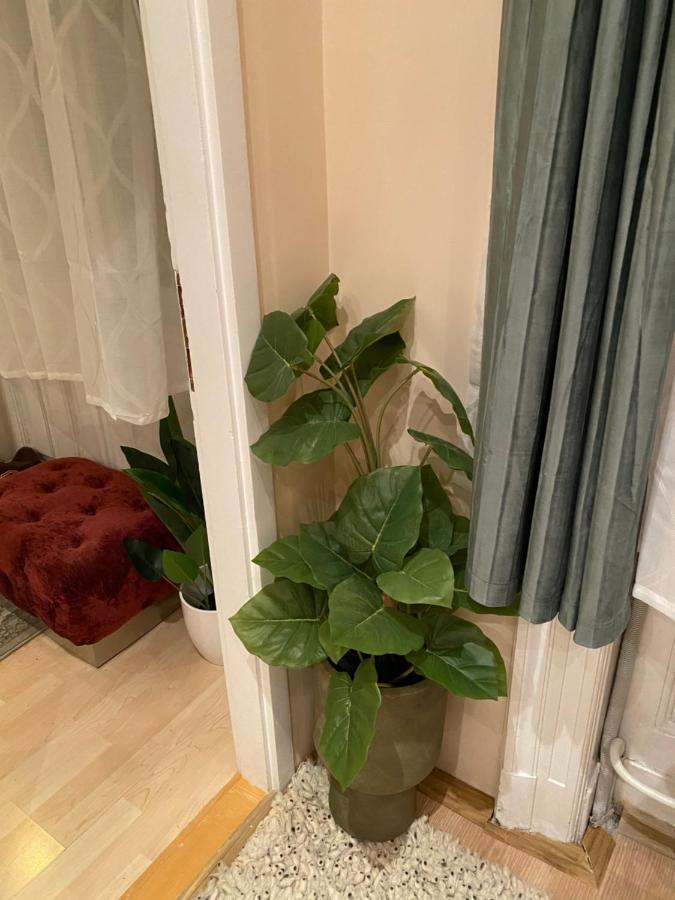 Jungle Story Apartment By Millenaris Park With Free Parking Будапеща Екстериор снимка